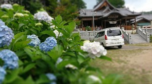 若狭野天満神社